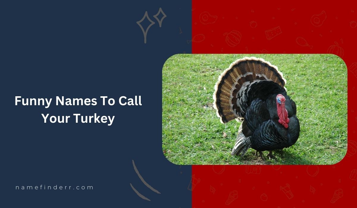 200+ Funny Turkey Names - Free AI Funny Names Generator