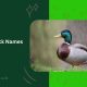 Funny Duck Names