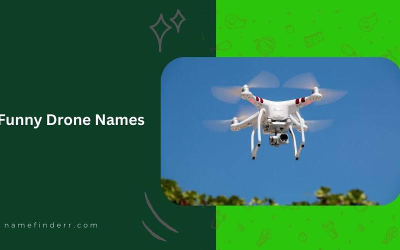 Funny Drone Names